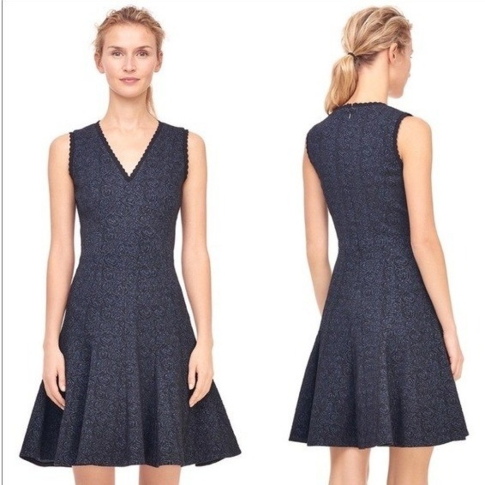 Rebecca Taylor Sleeveless V-neck Fit and Flare Rose Jacquard Dress